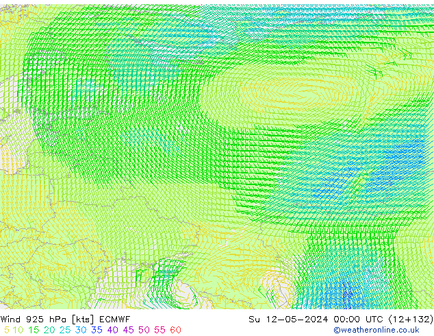 Wind 925 hPa ECMWF Ne 12.05.2024 00 UTC