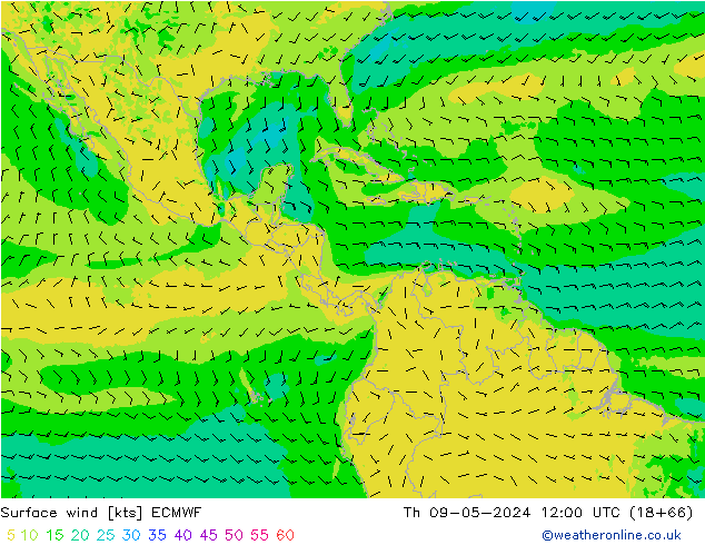 Surface wind ECMWF Th 09.05.2024 12 UTC