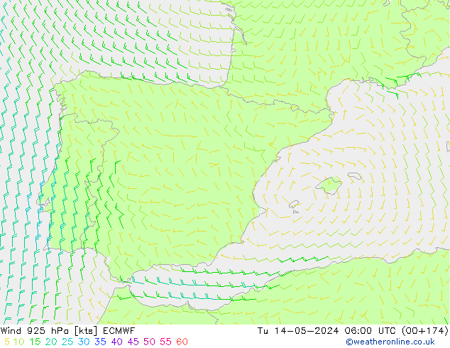 Wind 925 hPa ECMWF di 14.05.2024 06 UTC