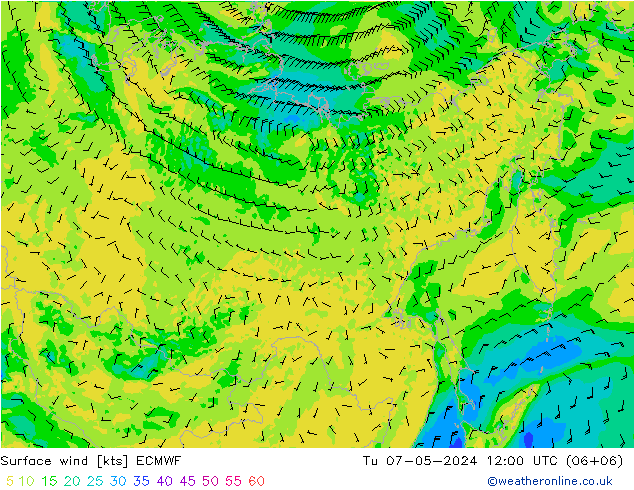 Surface wind ECMWF Tu 07.05.2024 12 UTC