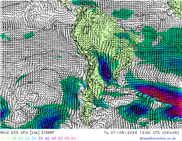  Ter 07.05.2024 12 UTC