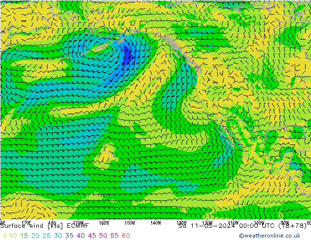 Rüzgar 10 m ECMWF Cts 11.05.2024 00 UTC