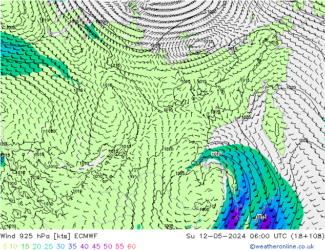 ветер 925 гПа ECMWF Вс 12.05.2024 06 UTC