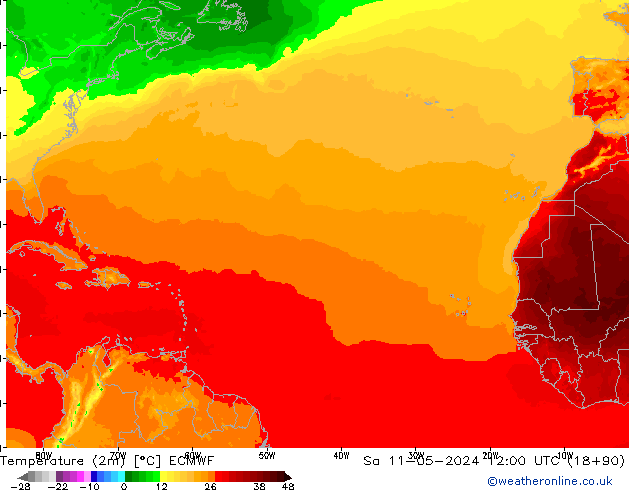 Temperatura (2m) ECMWF sáb 11.05.2024 12 UTC