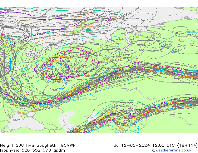 Height 500 hPa Spaghetti ECMWF Su 12.05.2024 12 UTC