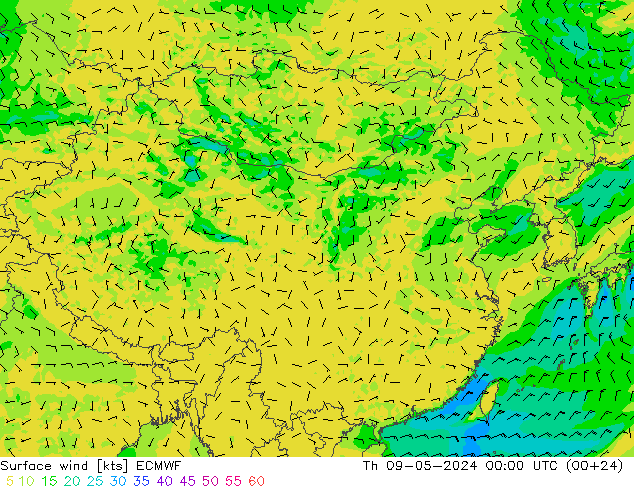风 10 米 ECMWF 星期四 09.05.2024 00 UTC