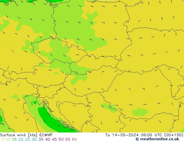 Wind 10 m ECMWF di 14.05.2024 06 UTC