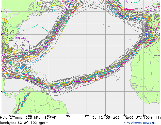 Yükseklik/Sıc. 925 hPa ECMWF Paz 12.05.2024 18 UTC