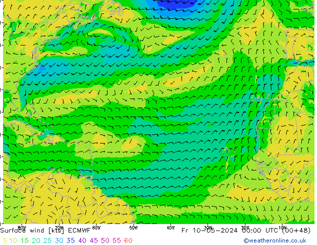 Rüzgar 10 m ECMWF Cu 10.05.2024 00 UTC