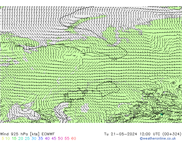 Wind 925 hPa ECMWF Tu 21.05.2024 12 UTC