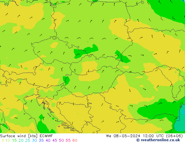 Wind 10 m ECMWF wo 08.05.2024 12 UTC