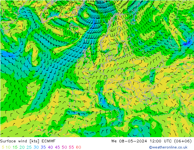 Bodenwind ECMWF Mi 08.05.2024 12 UTC