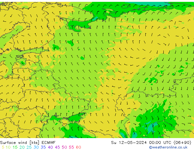 Rüzgar 10 m ECMWF Paz 12.05.2024 00 UTC