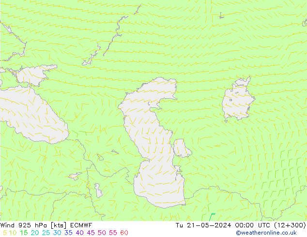 Wind 925 hPa ECMWF Tu 21.05.2024 00 UTC