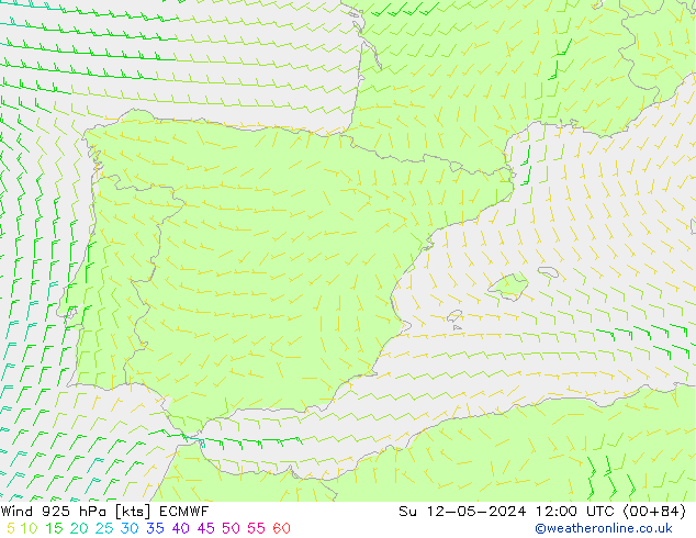 Wind 925 hPa ECMWF Su 12.05.2024 12 UTC