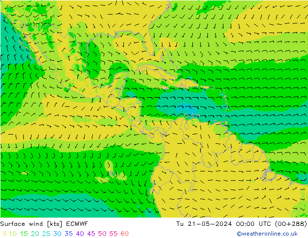 Surface wind ECMWF Tu 21.05.2024 00 UTC