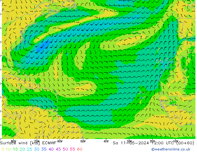 Rüzgar 10 m ECMWF Cts 11.05.2024 12 UTC