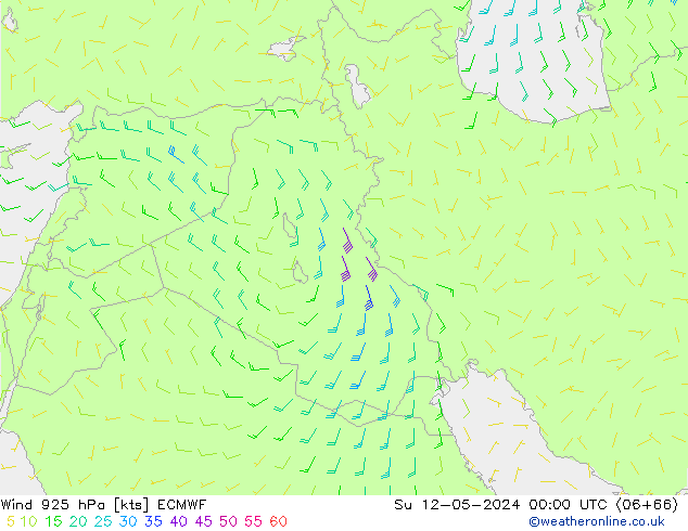 Vent 925 hPa ECMWF dim 12.05.2024 00 UTC
