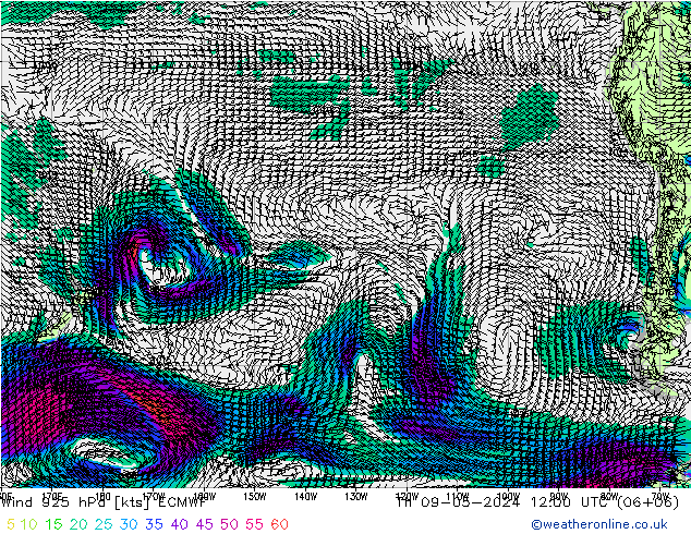 Wind 925 hPa ECMWF Do 09.05.2024 12 UTC
