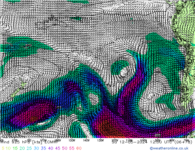Wind 925 hPa ECMWF zo 12.05.2024 12 UTC