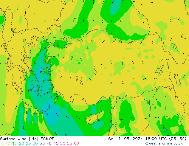 Surface wind ECMWF Sa 11.05.2024 18 UTC