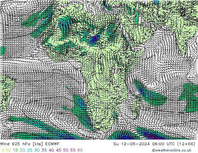 Wind 925 hPa ECMWF Ne 12.05.2024 06 UTC