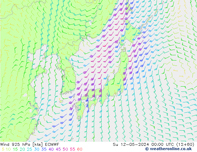 Wind 925 hPa ECMWF Su 12.05.2024 00 UTC