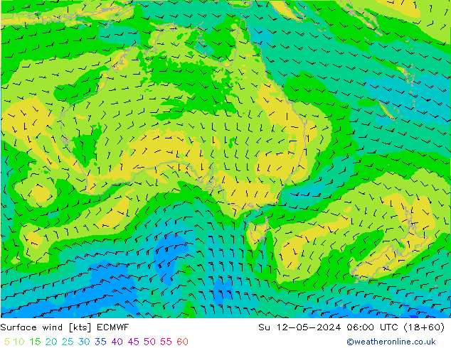 Surface wind ECMWF Su 12.05.2024 06 UTC