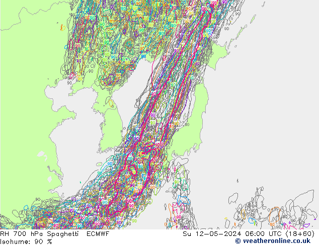 RH 700 hPa Spaghetti ECMWF nie. 12.05.2024 06 UTC