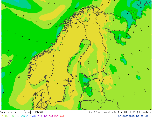 Surface wind ECMWF Sa 11.05.2024 18 UTC