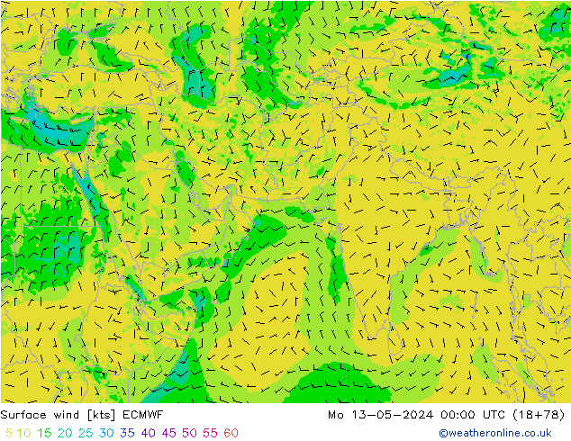ветер 10 m ECMWF пн 13.05.2024 00 UTC