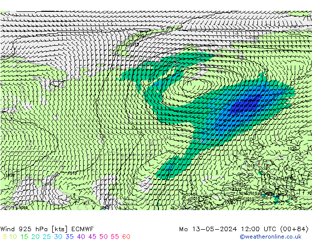 ветер 925 гПа ECMWF пн 13.05.2024 12 UTC