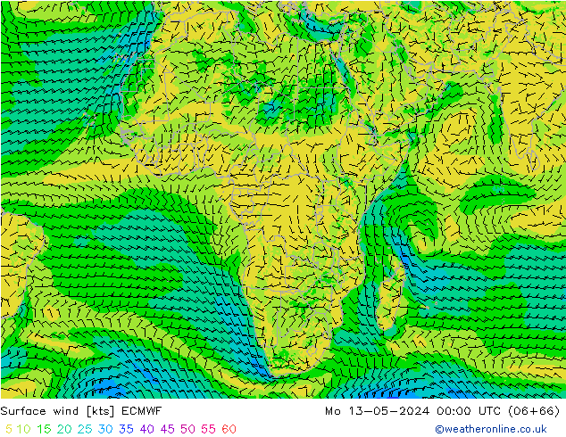 Surface wind ECMWF Mo 13.05.2024 00 UTC