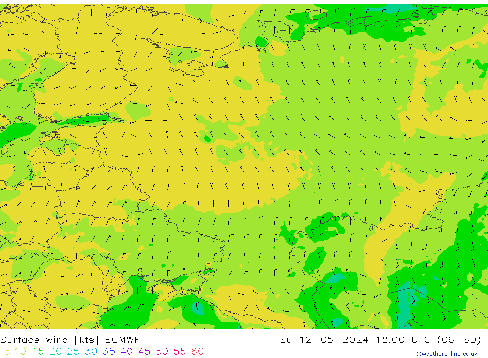 Surface wind ECMWF Ne 12.05.2024 18 UTC