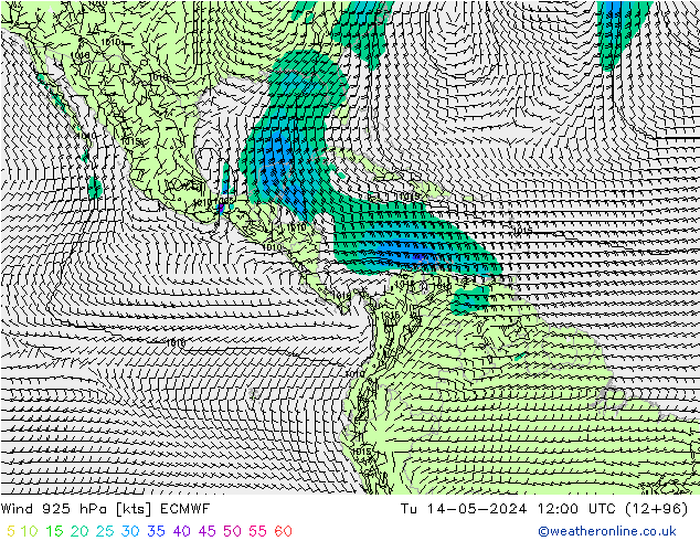 ветер 925 гПа ECMWF вт 14.05.2024 12 UTC