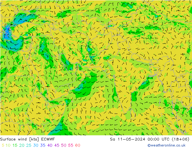 风 10 米 ECMWF 星期六 11.05.2024 00 UTC