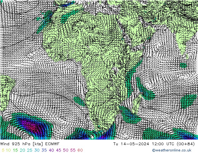 Rüzgar 925 hPa ECMWF Sa 14.05.2024 12 UTC
