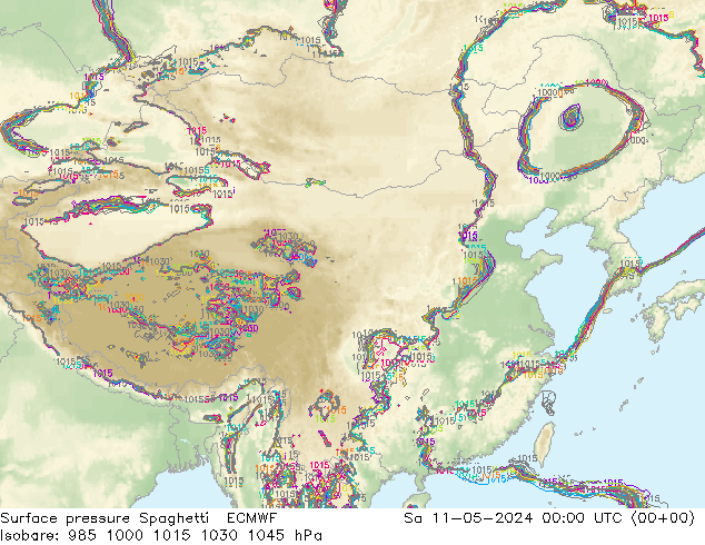 地面气压 Spaghetti ECMWF 星期六 11.05.2024 00 UTC