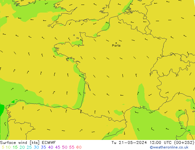 Bodenwind ECMWF Di 21.05.2024 12 UTC