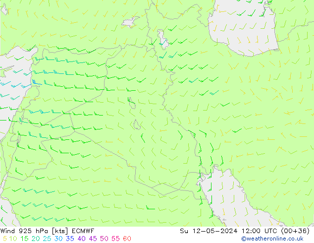 Vent 925 hPa ECMWF dim 12.05.2024 12 UTC