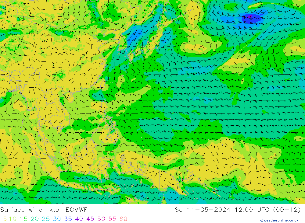 Surface wind ECMWF Sa 11.05.2024 12 UTC
