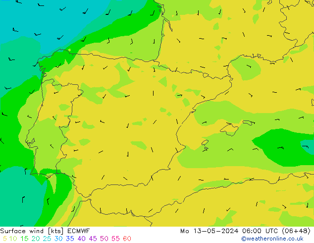 Vento 10 m ECMWF Seg 13.05.2024 06 UTC