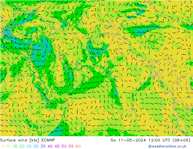 风 10 米 ECMWF 星期六 11.05.2024 12 UTC