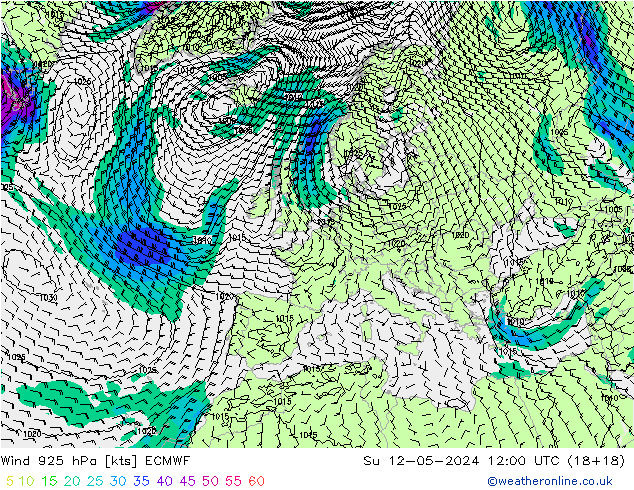 Wind 925 hPa ECMWF Su 12.05.2024 12 UTC