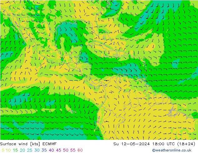 Surface wind ECMWF Su 12.05.2024 18 UTC