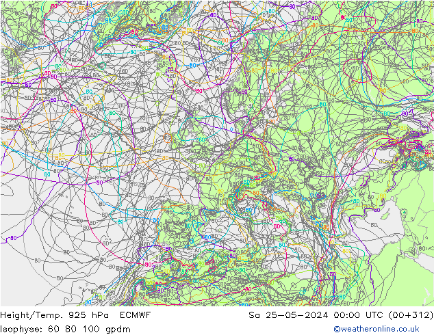 Height/Temp. 925 hPa ECMWF Sa 25.05.2024 00 UTC