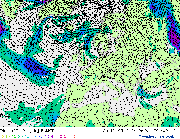 Wind 925 hPa ECMWF So 12.05.2024 06 UTC