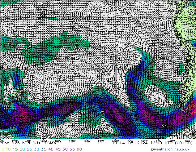 Wind 925 hPa ECMWF Tu 14.05.2024 12 UTC