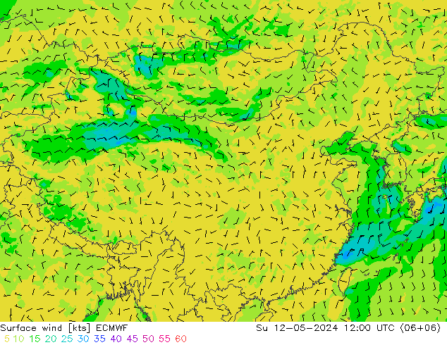 风 10 米 ECMWF 星期日 12.05.2024 12 UTC