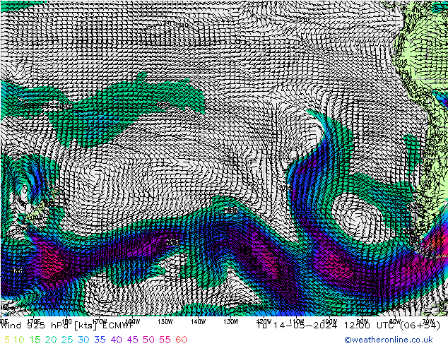 Wind 925 hPa ECMWF Di 14.05.2024 12 UTC
